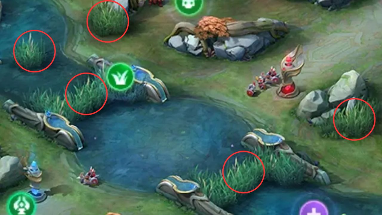 Ambush Mobile Legends, Semak Mobile Legends